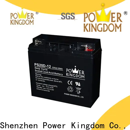 Power Kingdom rv marine deep cycle battery personalized deep discharge device