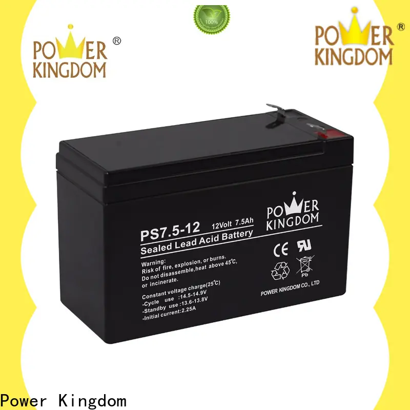 Power Kingdom High-quality agm battery life factory price deep discharge device