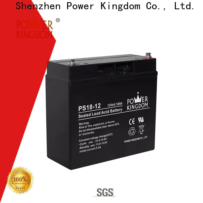 Power Kingdom 125ah 12v agm deep cycle battery factory price