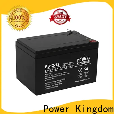 Power Kingdom Heat sealed design 12 volt deep cycle battery 100ah company vehile and power storage system