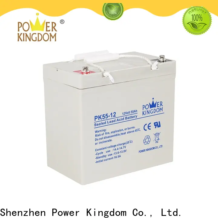 Power Kingdom New abm battery supplier