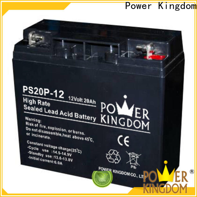 Power Kingdom good quality 2v agm battery factory electric toys