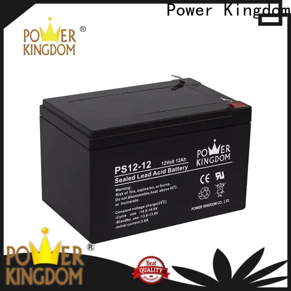 Power Kingdom 12v gel cell rechargeable battery factory price electric toys