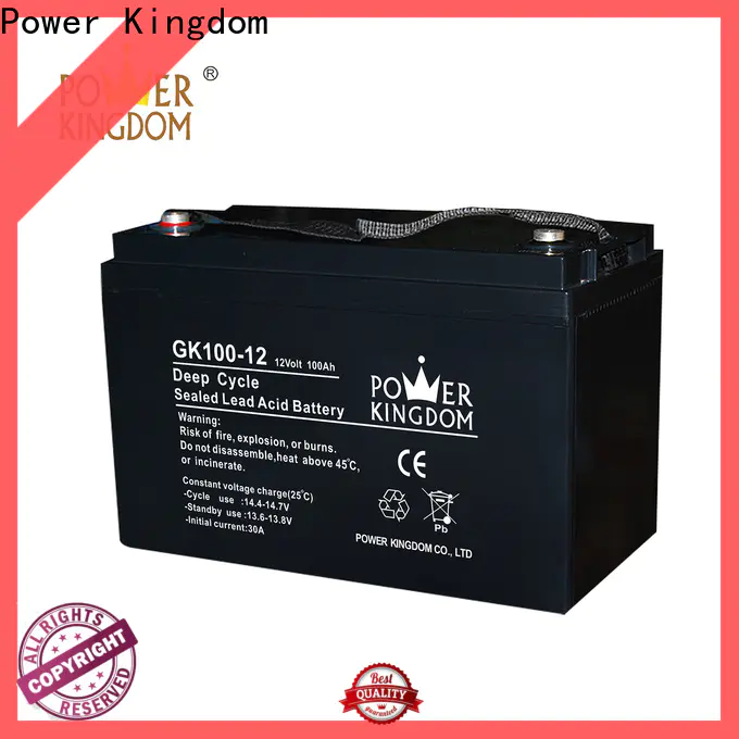 Power Kingdom ups lead acid battery inquire now wind power system