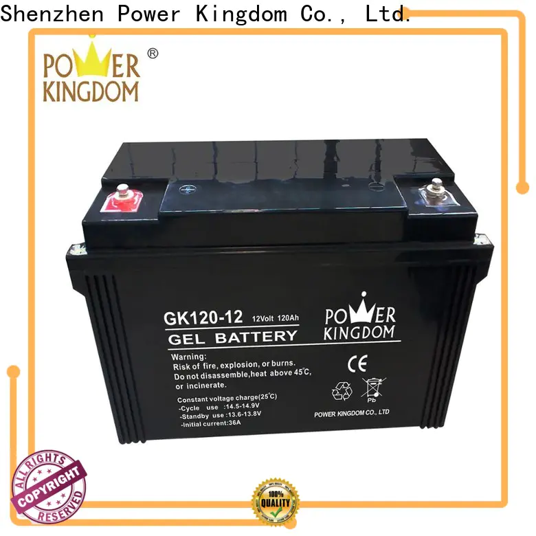 Power Kingdom sealed 12v lead acid battery design wind power system