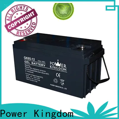 Power Kingdom high consistency lead acid battery applications Supply medical equipment