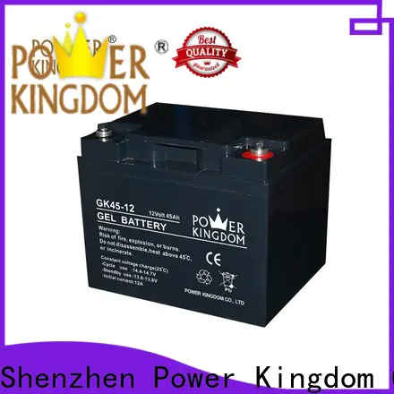 Power Kingdom long standby life sealed lead acid batteries for sale factory wind power system