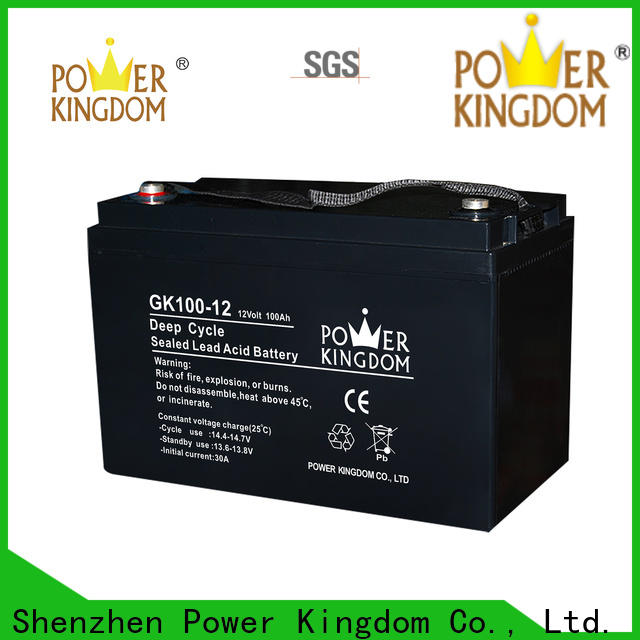 Power Kingdom high consistency ups lead acid with good price wind power system