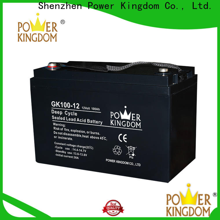 Power Kingdom lead acid battery terminal types with good price medical equipment