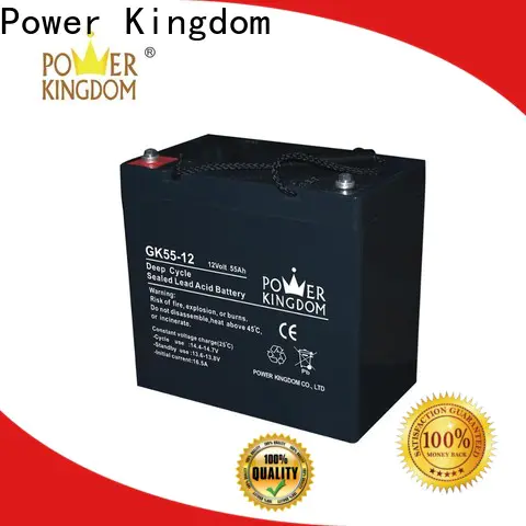 Power Kingdom flooded lead acid for business medical equipment