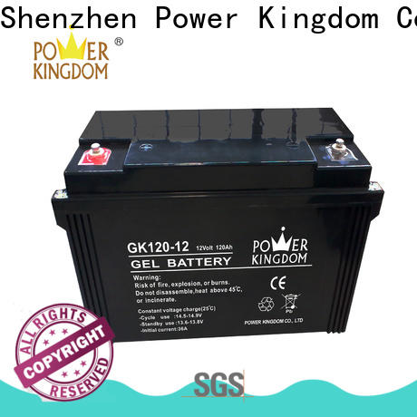 Power Kingdom Custom lead acid battery lifespan factory medical equipment