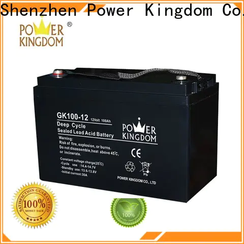 high consistency 12 volt sla battery charger with good price wind power system