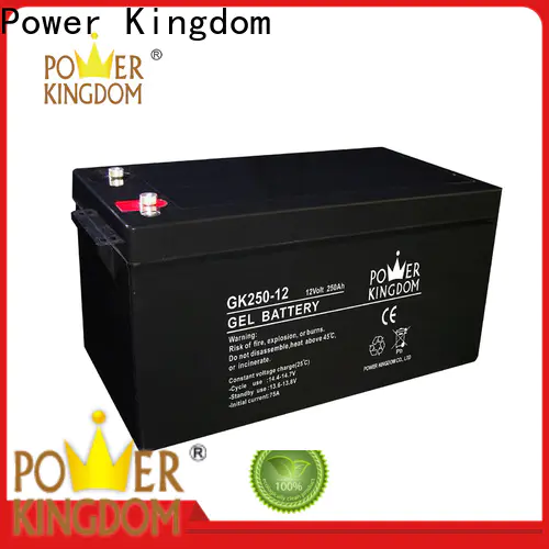 Power Kingdom battery sulfate factory medical equipment