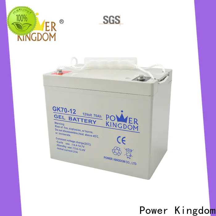 Power Kingdom lead acid alarm battery manufacturers medical equipment