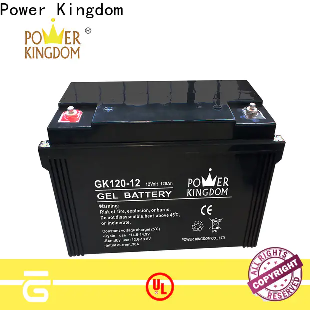 Power Kingdom maintenance free lead acid battery factory wind power system