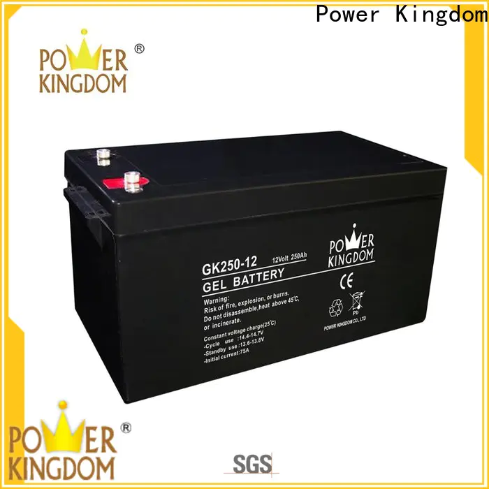 Power Kingdom High-quality ups lead acid with good price solor system