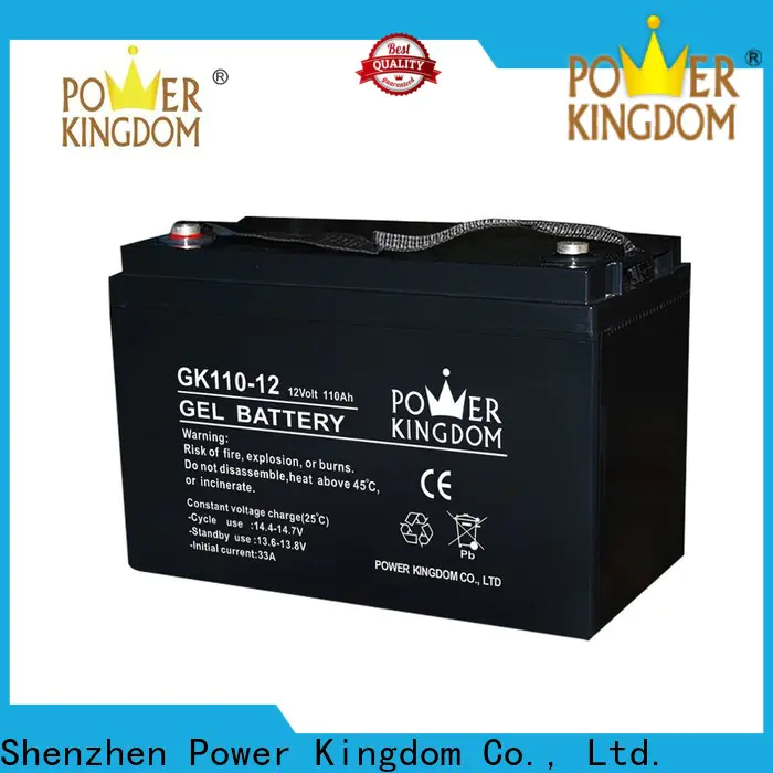 Power Kingdom Custom pb battery charger with good price wind power system