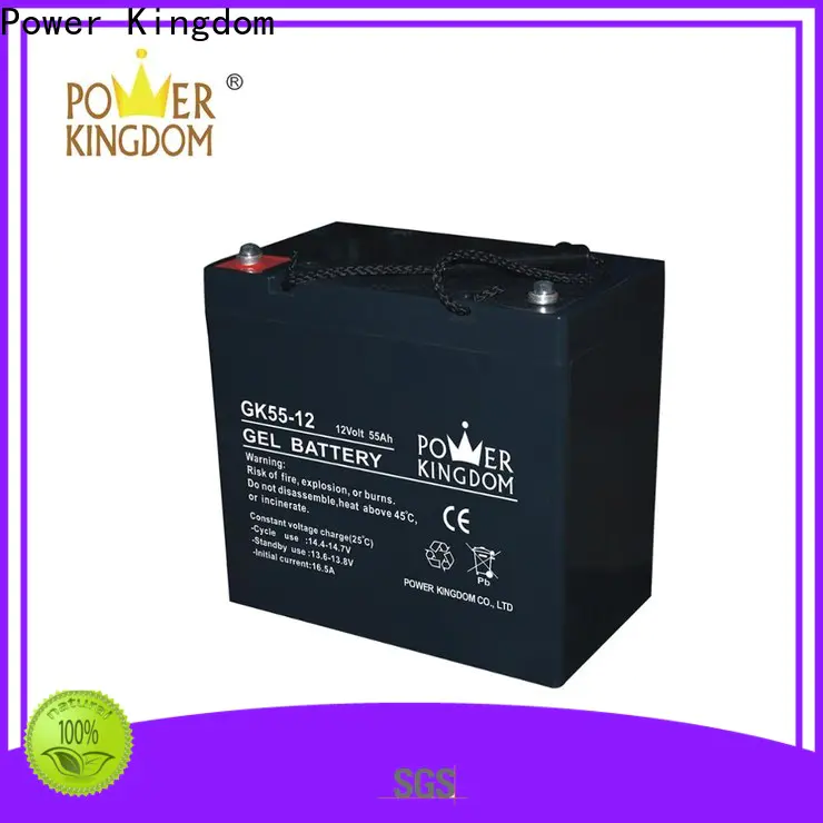 Power Kingdom high consistency lead acetate battery Supply medical equipment