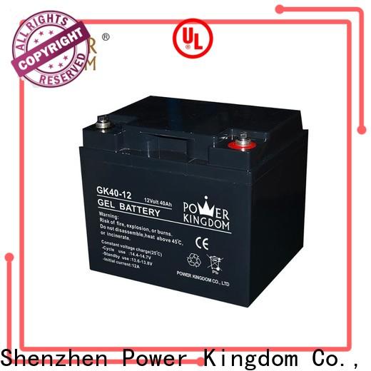 Power Kingdom New sealed maintenance free rechargeable battery for business medical equipment