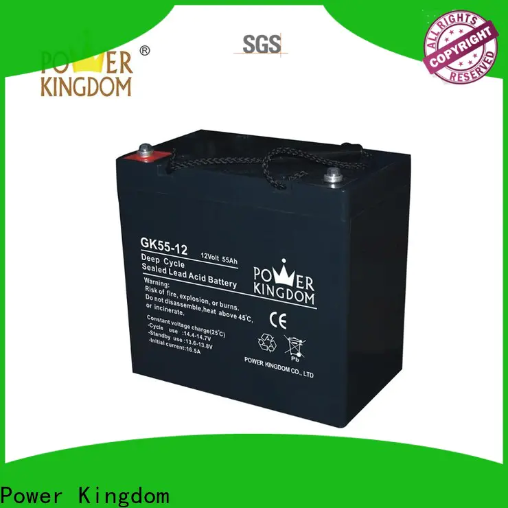 Power Kingdom Latest rechargeable sealed lead acid battery 6v 4ah for business medical equipment