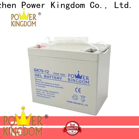 Power Kingdom New lead acid battery ebay factory wind power system