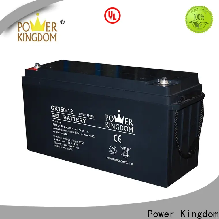 Power Kingdom sealed rechargeable lead acid battery 4v factory medical equipment