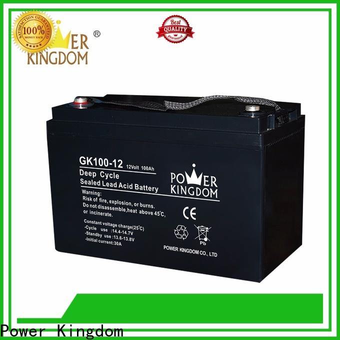 Power Kingdom large lead acid battery with good price medical equipment