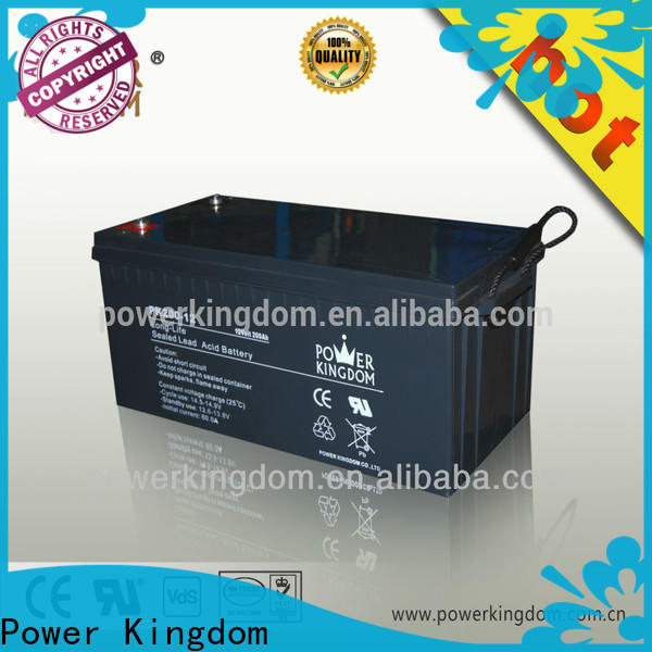 Power Kingdom Custom positive plate of lead acid battery with good price wind power system