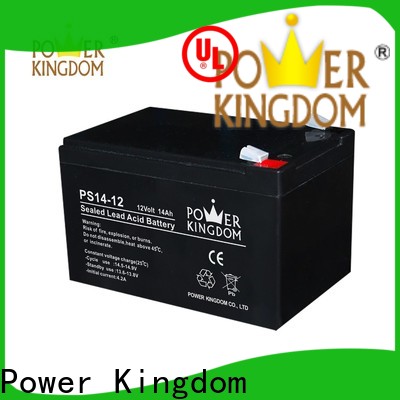 Power Kingdom vrla battery for business vehile and power storage system