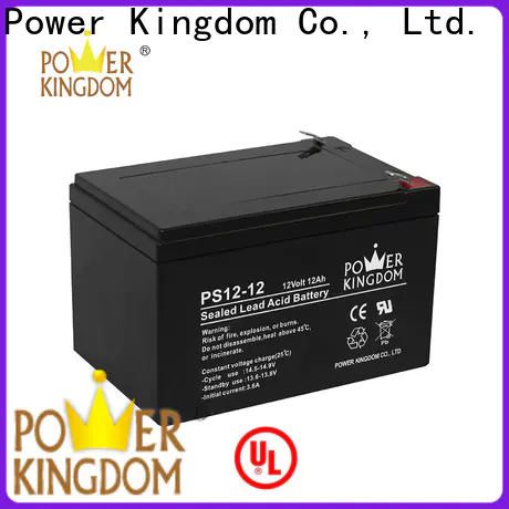 Power Kingdom Custom group 34 agm battery company deep discharge device