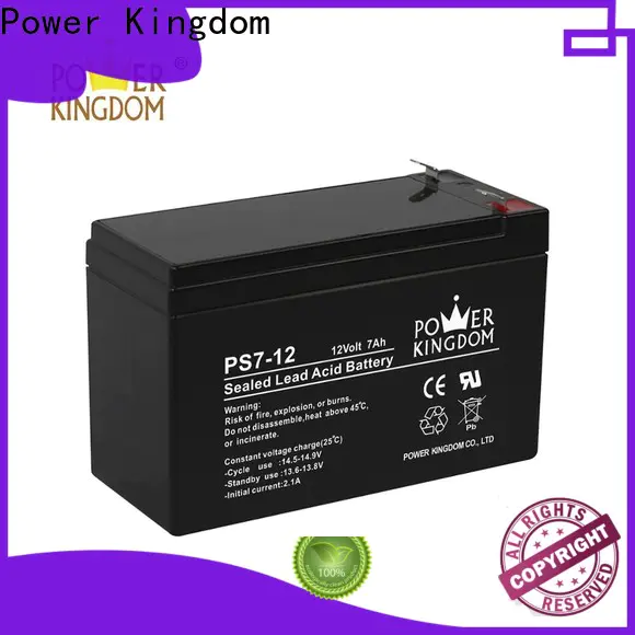 Power Kingdom High-quality flooded lead acid battery personalized wind power systems