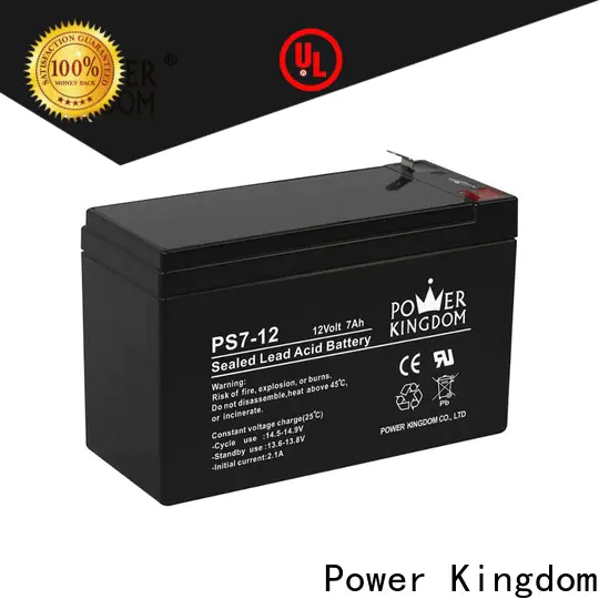 Power Kingdom agm deep cycle battery group 27 personalized deep discharge device