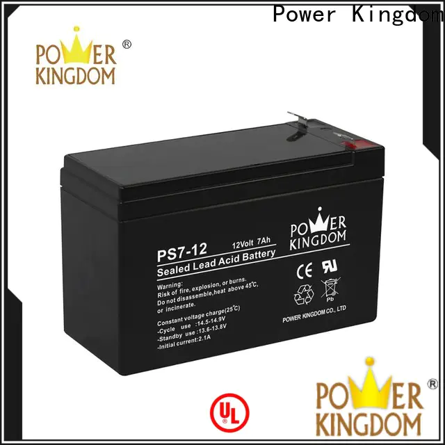 Power Kingdom lead acid battery manufacturers personalized deep discharge device