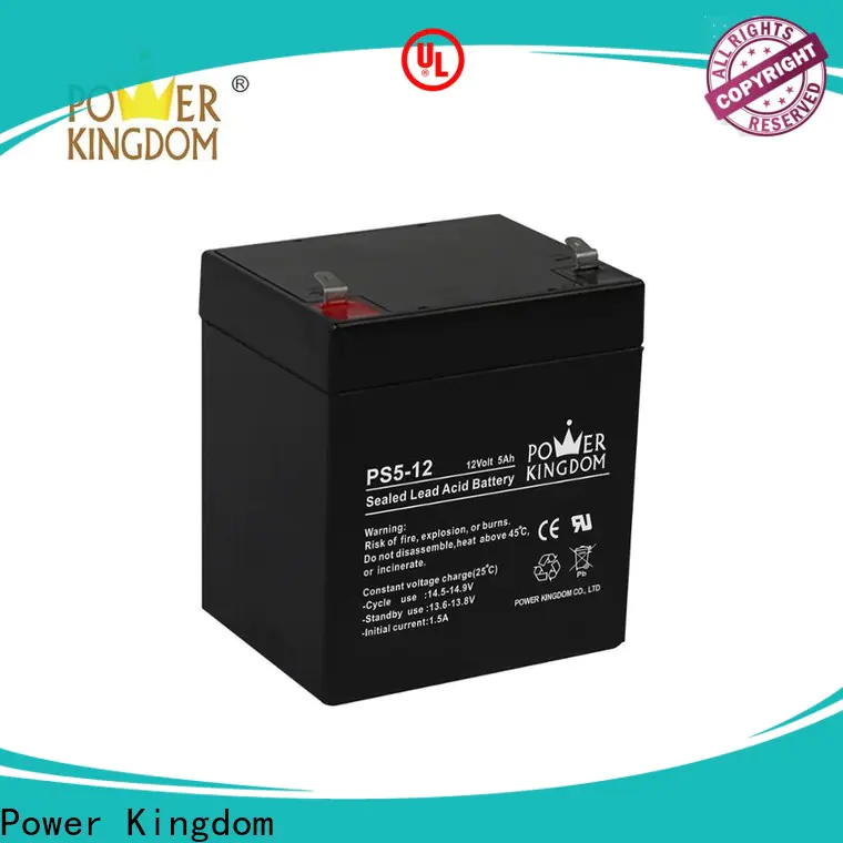 Power Kingdom maintenance free deep cycle battery company