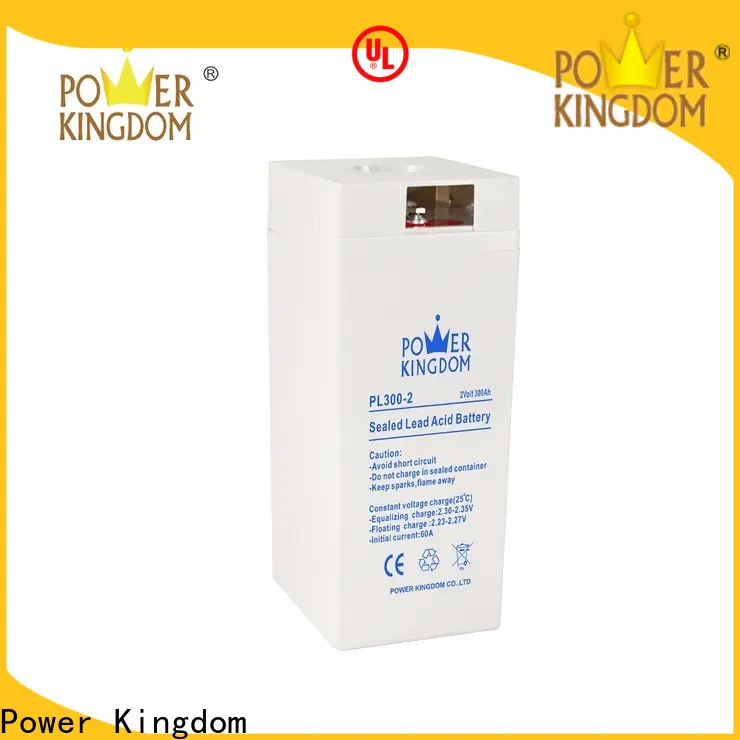 Power Kingdom 6 volt agm battery wholesale