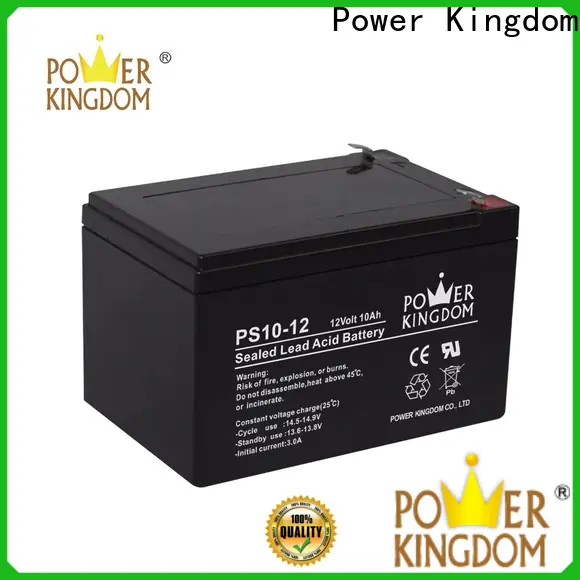 Power Kingdom High-quality deep cycle sealed lead acid battery personalized vehile and power storage system