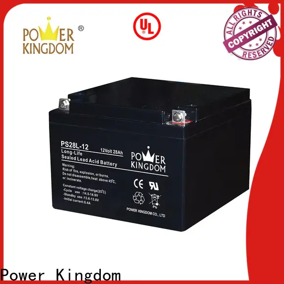 Power Kingdom agm battery pack personalized deep discharge device