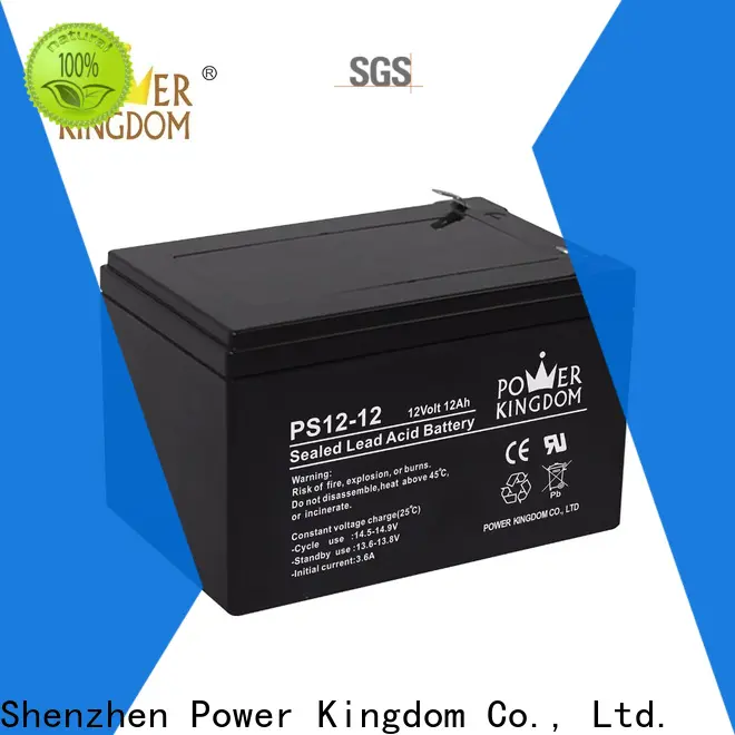 Latest 100 amp agm battery personalized deep discharge device