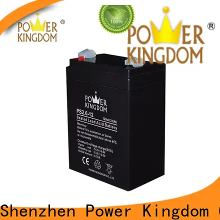 Power Kingdom Custom wholesale deep cycle batteries factory vehile and power storage system