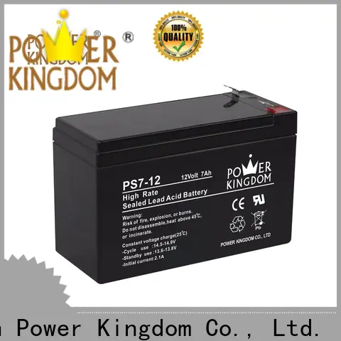 Power Kingdom New best value agm battery personalized vehile and power storage system