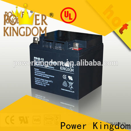 Power Kingdom Custom high ah deep cycle battery manufacturers deep discharge device