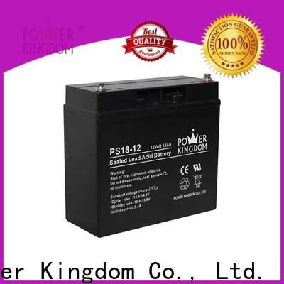 Power Kingdom Custom agm truck battery factory deep discharge device