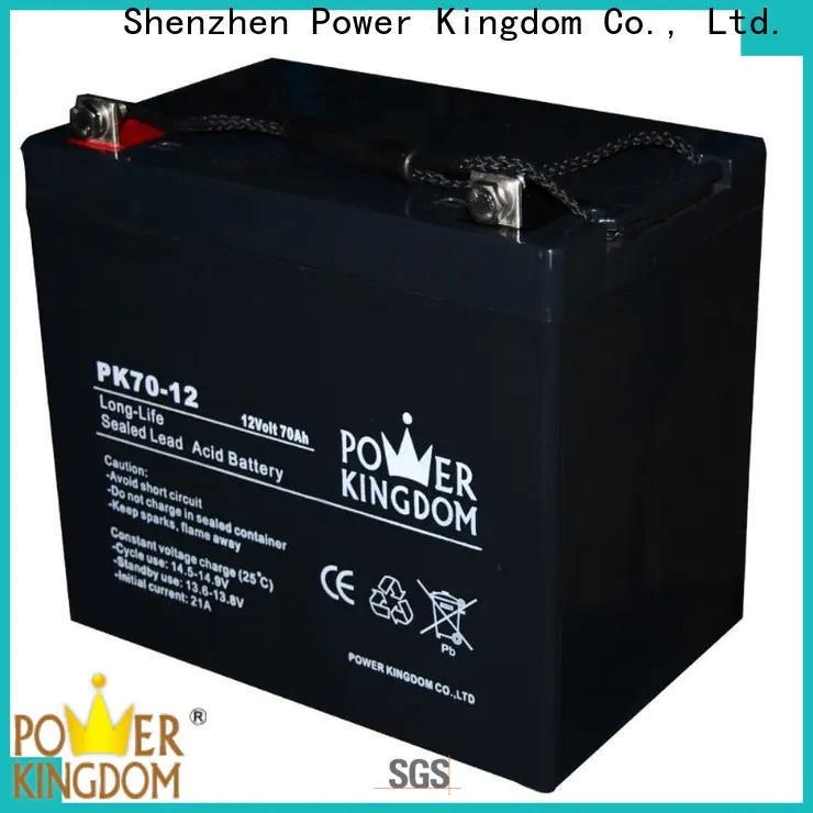 Power Kingdom poles design agm deep cycle battery group 27 company vehile and power storage system