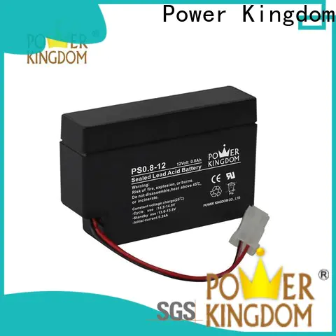 Power Kingdom cycle lithium deep cycle battery factory