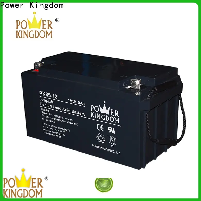 Power Kingdom cycle 120 agm battery factory price vehile and power storage system