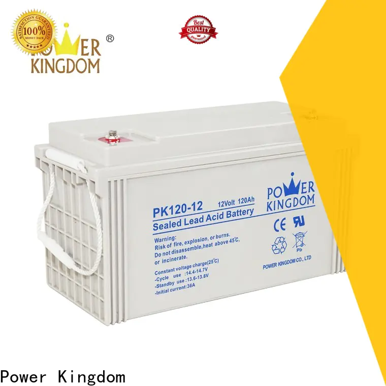Power Kingdom advanced plate casters best gel cell deep cycle battery Supply Automatic door system