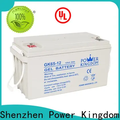 Power Kingdom Wholesale rechargeable gel batteries factory price solar and wind power system