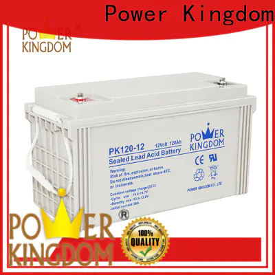 Power Kingdom gel batterys company Power tools