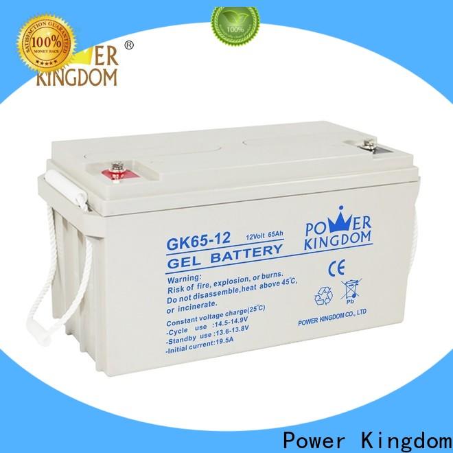 Power Kingdom no leakage design maintenance free battery directly sale Power tools