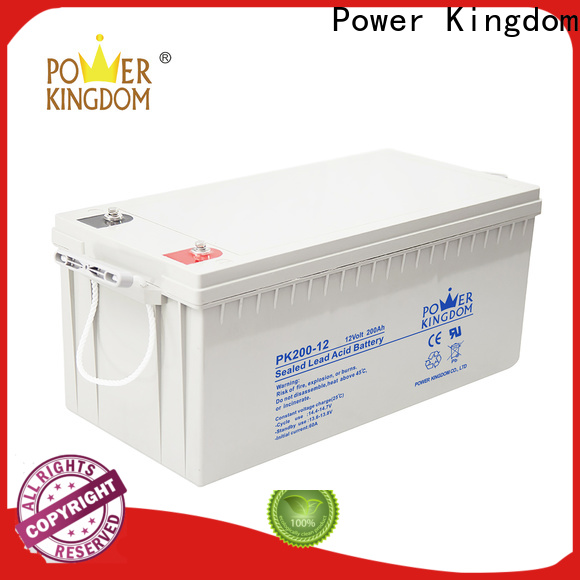 Power Kingdom no leakage design deka agm battery factory price Automatic door system